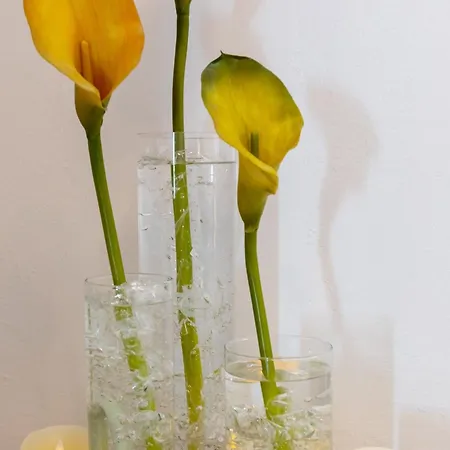 2 With Hot Tub Apartment Mlini