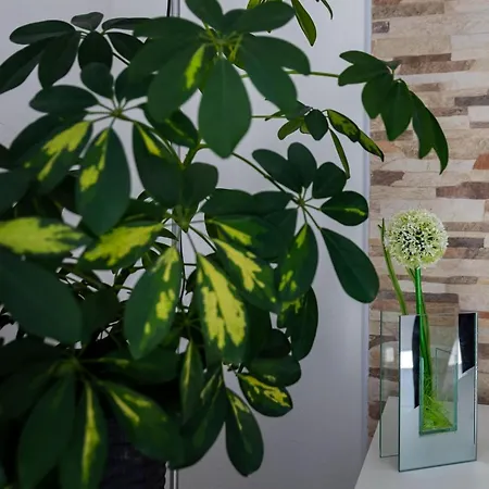 2 With Hot Tub Apartment *