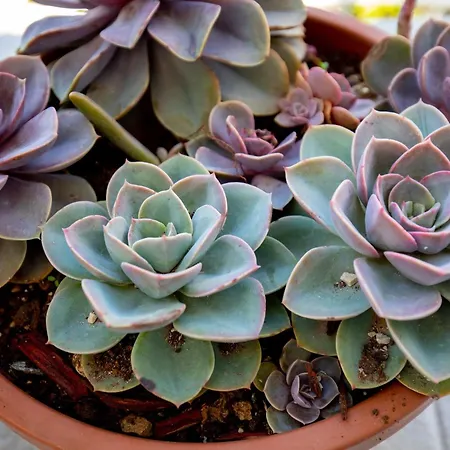 Apartment 2 With Hot Tub