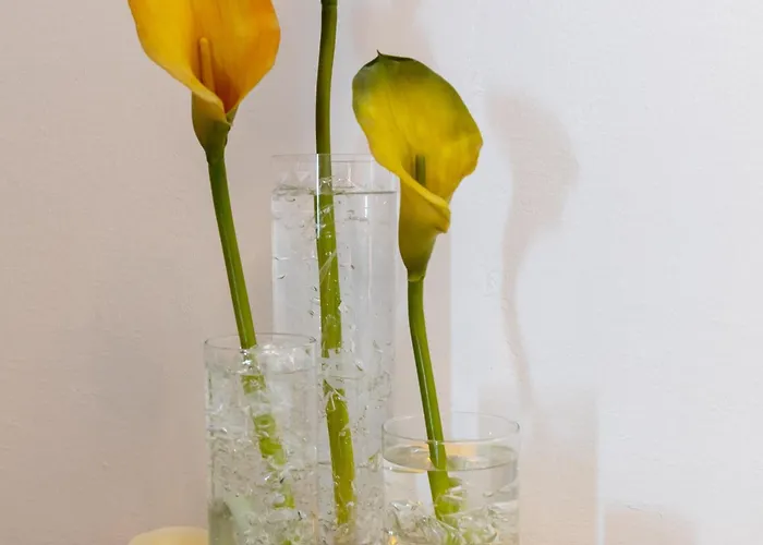 2 With Hot Tub Apartment Mlini