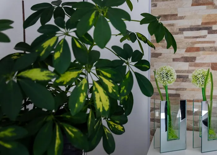 2 With Hot Tub Apartment *