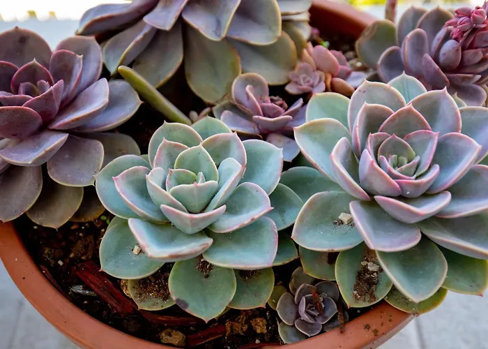 Apartment 2 With Hot Tub